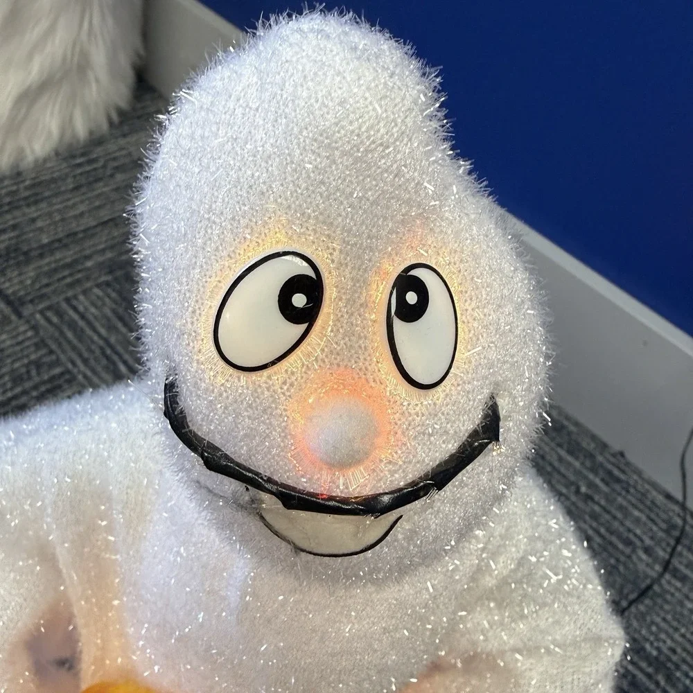 Halloween Fiber Optic Ghost Holding Jack o' Lantern Pumpkin 18